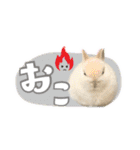 しゅたんぷ4改（個別スタンプ：13）