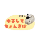 しゅたんぷ4改（個別スタンプ：14）