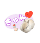 しゅたんぷ4改（個別スタンプ：15）