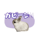 しゅたんぷ4改（個別スタンプ：19）