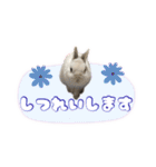 しゅたんぷ4改（個別スタンプ：20）