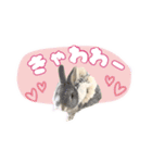 しゅたんぷ4改（個別スタンプ：21）