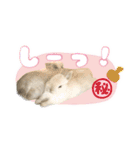 しゅたんぷ4改（個別スタンプ：22）