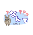 しゅたんぷ4改（個別スタンプ：27）