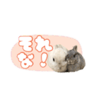 しゅたんぷ4改（個別スタンプ：28）
