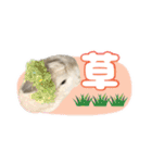 しゅたんぷ4改（個別スタンプ：29）