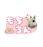 しゅたんぷ4改（個別スタンプ：30）