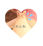 シンプルもっちゃん（個別スタンプ：6）