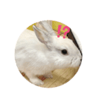 シンプルもっちゃん（個別スタンプ：7）