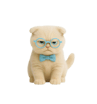 キュートなクリーム色のオタク猫 （NT）（個別スタンプ：11）