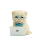 キュートなクリーム色のオタク猫 （NT）（個別スタンプ：23）