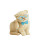 キュートなクリーム色のオタク猫 （NT）（個別スタンプ：24）