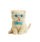 キュートなクリーム色のオタク猫 （NT）（個別スタンプ：35）