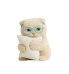 キュートなクリーム色のオタク猫 （NT）（個別スタンプ：36）