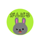 灰色ウサギのかお（個別スタンプ：11）