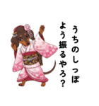 【京都弁】舞子さんになったダックスフンド（個別スタンプ：15）