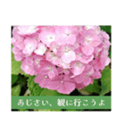 アジサイツ（個別スタンプ：12）
