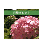 アジサイツ（個別スタンプ：39）
