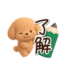 トイプードル「アプリコット」3D（個別スタンプ：13）