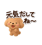 トイプードル「アプリコット」3D（個別スタンプ：17）