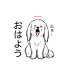 名前入りマルチーズロング（個別スタンプ：1）