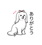 名前入りマルチーズロング（個別スタンプ：2）