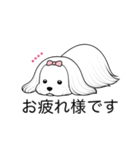 名前入りマルチーズロング（個別スタンプ：4）