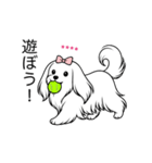 名前入りマルチーズロング（個別スタンプ：5）