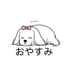 名前入りマルチーズロング（個別スタンプ：6）