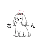 名前入りマルチーズロング（個別スタンプ：12）