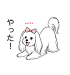 名前入りマルチーズロング（個別スタンプ：14）