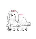 名前入りマルチーズロング（個別スタンプ：18）
