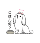 名前入りマルチーズロング（個別スタンプ：20）
