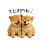 毎日使える！夏の柴犬（個別スタンプ：4）