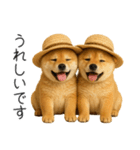 毎日使える！夏の柴犬（個別スタンプ：5）