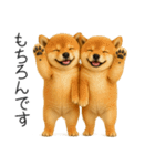 毎日使える！夏の柴犬（個別スタンプ：6）
