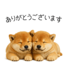 毎日使える！夏の柴犬（個別スタンプ：10）