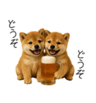 毎日使える！夏の柴犬（個別スタンプ：12）