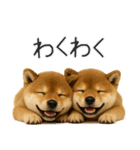 毎日使える！夏の柴犬（個別スタンプ：15）