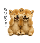 毎日使える！夏の柴犬（個別スタンプ：17）