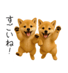 毎日使える！夏の柴犬（個別スタンプ：20）
