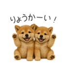 毎日使える！夏の柴犬（個別スタンプ：21）