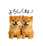 毎日使える！夏の柴犬（個別スタンプ：23）