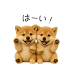 毎日使える！夏の柴犬（個別スタンプ：26）