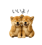 毎日使える！夏の柴犬（個別スタンプ：31）