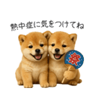 毎日使える！夏の柴犬（個別スタンプ：33）