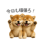 毎日使える！夏の柴犬（個別スタンプ：36）
