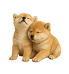 毎日使える！夏の柴犬（個別スタンプ：39）