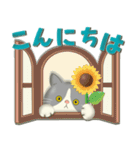 毎日使える！夏の可愛いハチワレコンビ♡（個別スタンプ：2）