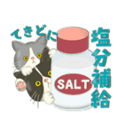 毎日使える！夏の可愛いハチワレコンビ♡（個別スタンプ：8）